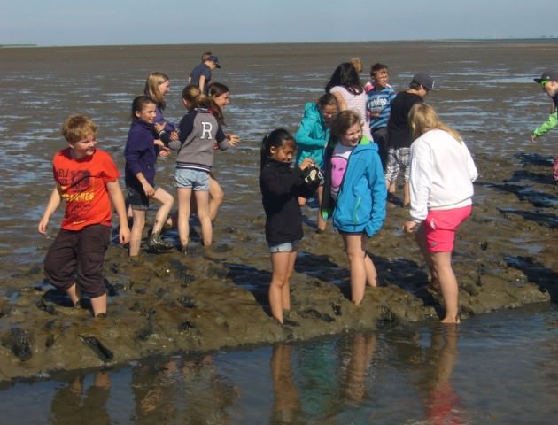 Klassenfahrt Norderney