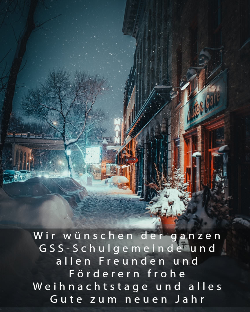 Wir wünschen der ganzen GSS-Schulgemeinde und allen Freunden und Förderern frohe Weihnachtstage und alles Gute zum neuen Jahr